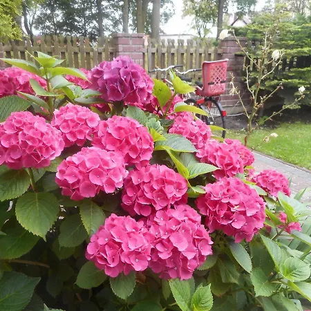 Bed & Breakfast Karo Łeba