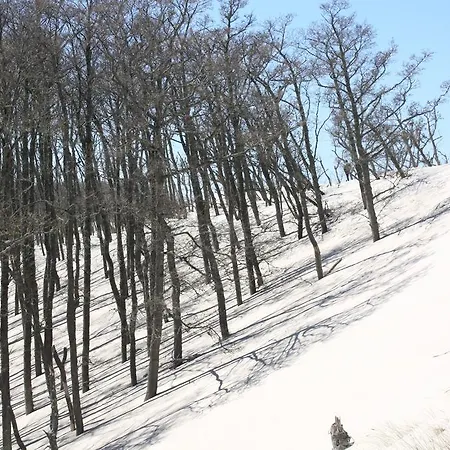 Karo ベッド・アンド・ブレックファスト ウェバ