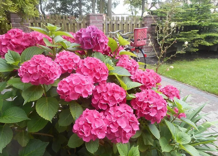 Bed & Breakfast Karo Łeba